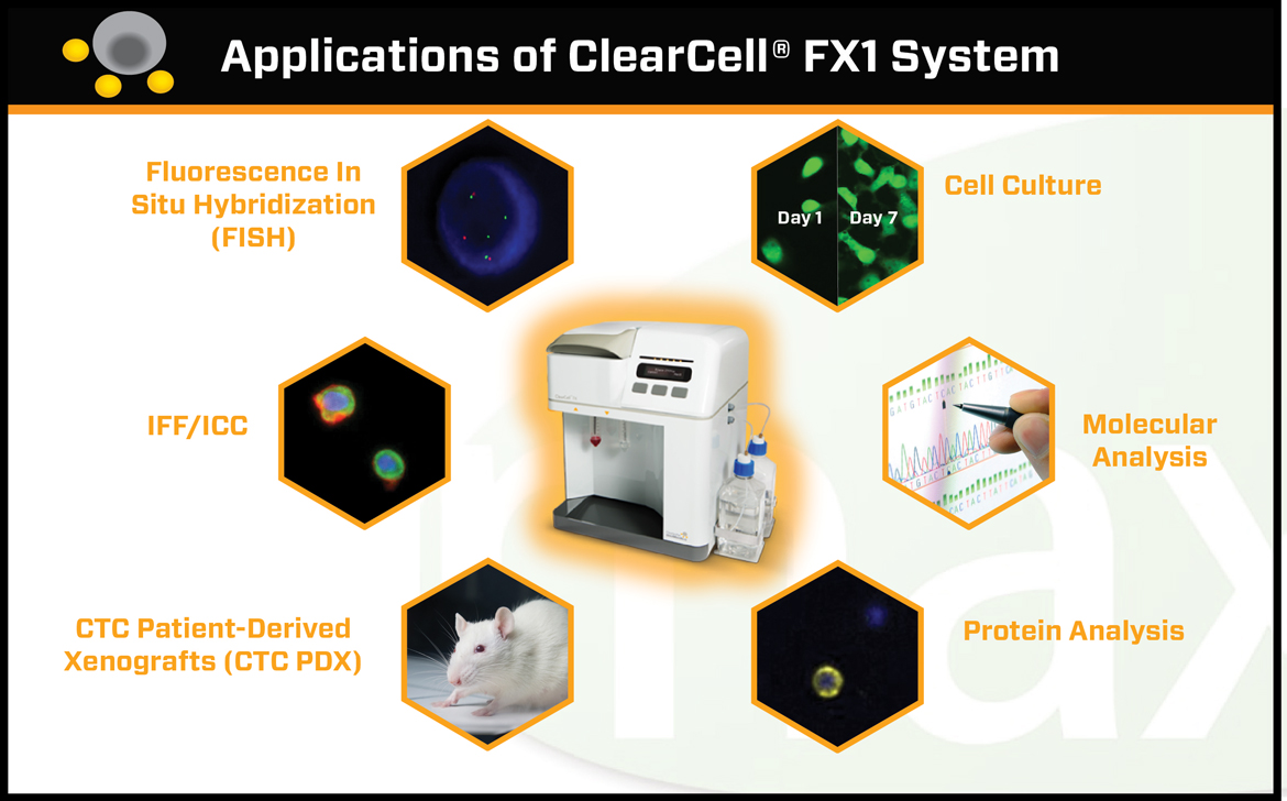 clearbridge clearcell fx1